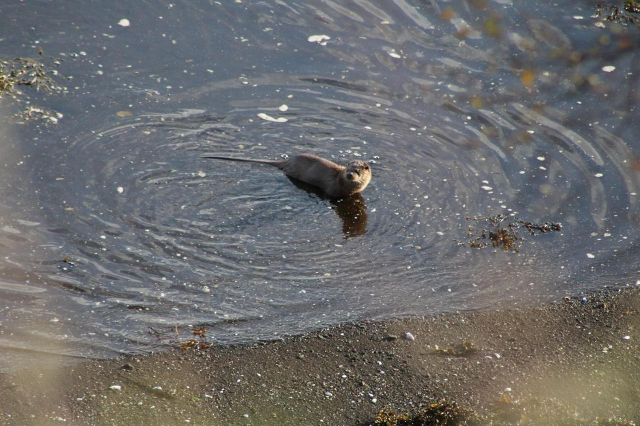 Air an Oir - Skye Self Catering Villa Portree Bagian luar foto